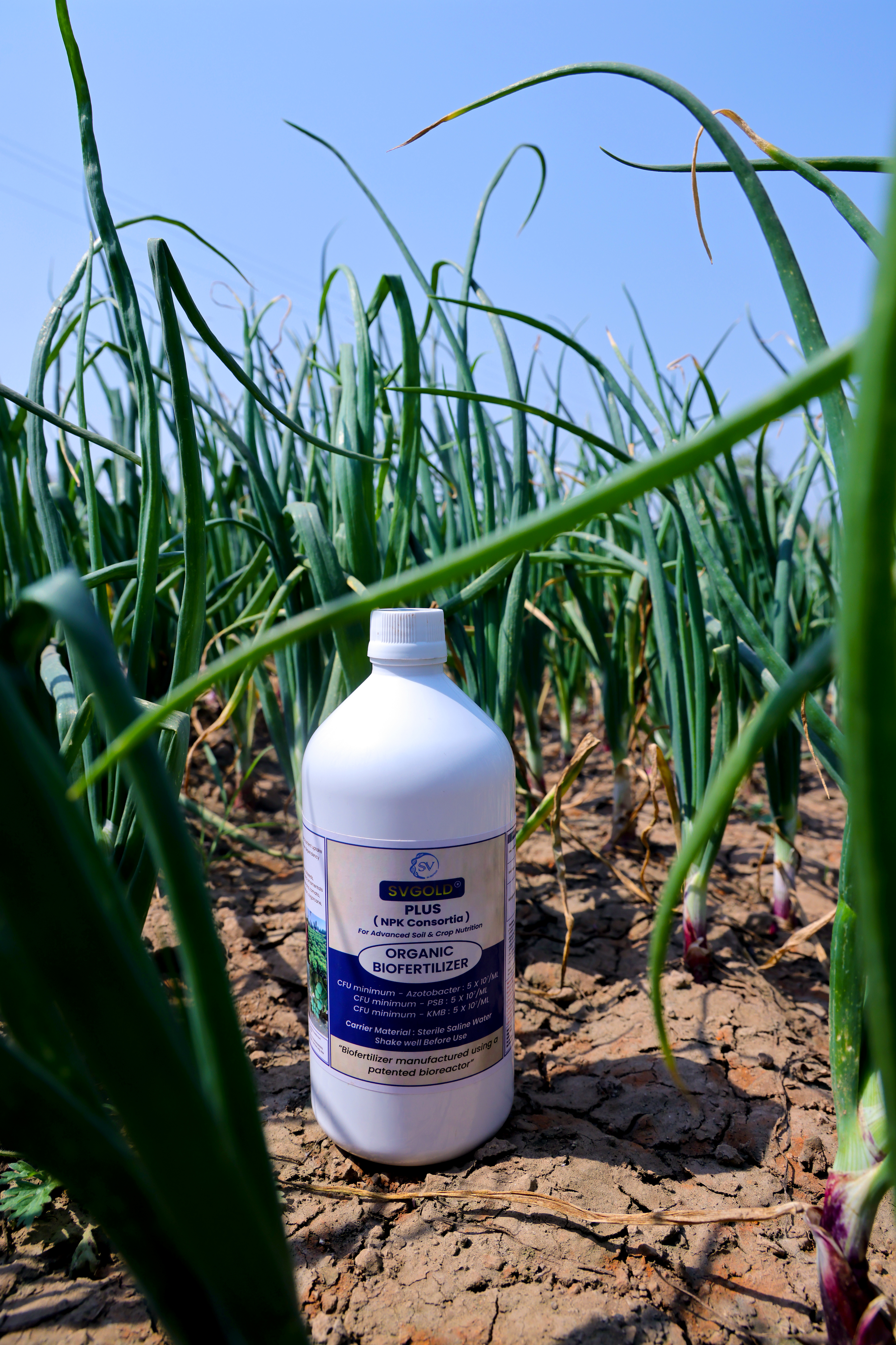 Microbial Science Base